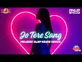 Lagu Jo Tere Sang (Melodic Slap House Remix) | Anup Bhojgi | Mustafa Zahid | Blood Money