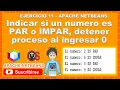 Ejercicio 11 Java - Apache NetBeans
