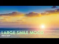 Download Lagu 🎵Nico Staf - Large Smile Mood
