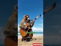 Download Lagu Viral monyet main gitar di pantai Cina #shorts