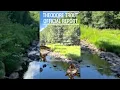 THEODORE TROUT WEST VIRGINIA STOCKING REPORT 26