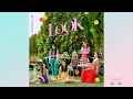 Download Lagu Apink (에이핑크) - Dumhdurum AUDIO