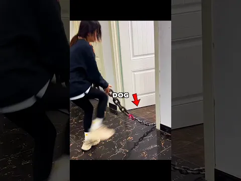 She Said She Owned the World's Strongest Dog... 😳😱/#ytshorts #shorts #dog #animals