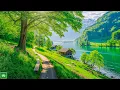 Download Lagu Zachte muziek, kalmeert het zenuwstelsel en behaagt de ziel - helende muziek voor hart en bloedvaten
