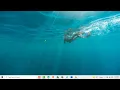 How to disable open tabs in Firefox