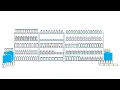 Nielsen Assortment Space Optimization