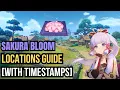 Sakura Bloom Locations Guide | Genshin Impact [With Timestamps]