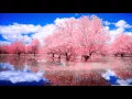 Download Lagu Always On My Mind - Instrumental (Violin)