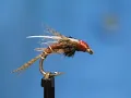 Beginner Fly Tying a Biot Wing Nymph with Jim Misiura