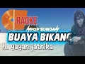 KARAOKE BUAYA BIKANG H. YAYAN JATNIKA NADA COWOK