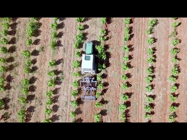 Film de terroir pour la Cave Bastide Blanche