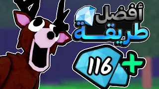 أفضل طرق للحصول على الجواهر في ماب ٩٩ ليلة في الغابة 99 Nights In The Forest 