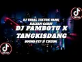 Download Lagu DJ PAMBOTU X TANGKISDANG VIRAL TIKTOK JEDAG JEDUG SOUND YANG KALIAN CARI!!