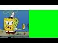Mentahan meme Spongebob Kau adalah seorang pembohong‼️ penipu‼️