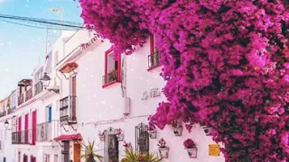 وكلهم آتيه يوم القيامة فردا القارئ عبدالرحمن مسعد حالات واتس اب 