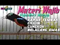 Download Lagu MASTERAN KONIN FULL MATERI MEWAH ISIAN LOMBA MATERI WAJIB SEMUA KONIN