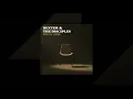 Dexter & Disciples - Leisure Island