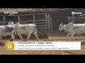 Miniatura mídia 4