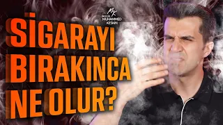 SİGARAYI BIRAKINCA VÜCUDUNUZDA NELER DEĞİŞİR?
