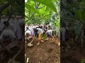 Abah Habib Umar Bin Salim Al hadad Di Makamkan Di wonorejo Pasuruan Jawa Timur.