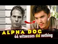 True story of Jesse Hollywood and his Gang Difference from the film Alpha Dog Nicholas Markowitz