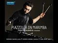 Tango Suite for 2 Guitars (Arr. for 2 Marimbas) : Tango No. 3. Allegro