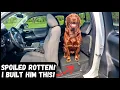 Toyota Tacoma Access Cab Dog Platform Build