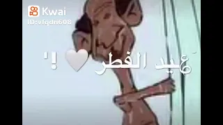 الشامبو السوداني احسن من بريطاني 