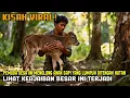 VIRAL! PEMUDA DESA INI MENOLONG ANAK SAPI YANG LUMPUH DITENGAH HUTAN LIHAT KEAJAIBAN BESAR INI