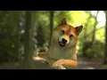 🐶 Rock a Bye Baby 🐶 Singing Dog 🐶 Nursery Rhymes Songs 🐶 FunBrothers