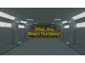 What are binary numbers