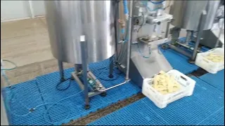 Embaladora TP 300 para polpas de frutas