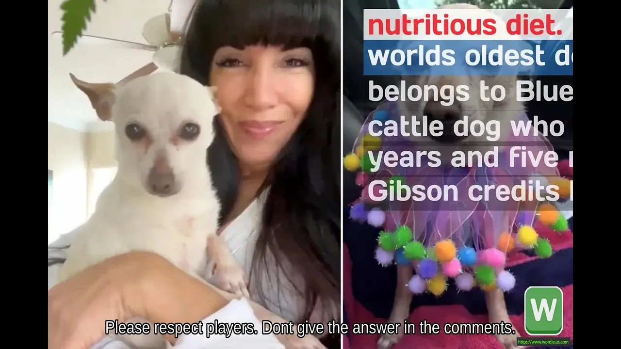 Wordle #328   The worlds oldest living dog, a chihuahua named TobyKeith, breaks