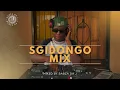 Lagu Sgidongo Mix 2026 | Mdu aka Trp | Tribesoul | Lowbass Djy | By Babza Da J #amapianomix #sgidongo 