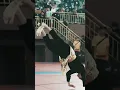 Download Lagu Pencak Silat Kategori Seni Tunggal Baku IPSI (IPSC Piala Wakil Gubernur DKI Jakarta 2022)