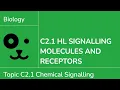 C2 1 HL Signalling Molecules and Receptors IB Biology HL