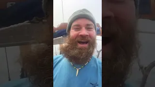 Sea Beard 🧔