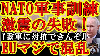 【フランス情報機関『マズい！ロシア軍のEU侵攻が想定より３年早い！』おいマジで混乱してるじゃねーか！しかもNATO軍がドローン戦争訓練で全滅してロシア戦が危ないって報道も出てる！】リトアニアは反撃宣言