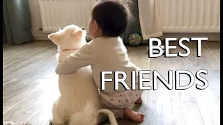Download A Baby's Best Friend MP3