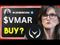 VMAR Stock Vision Marine Technologie stock VMAR STOCK PREDICTION VMAR STOCK analysis VMAR