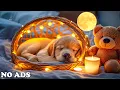 Download Lagu Calming Sounds for Dogs 🐾 Anti-Stress \u0026 Peaceful Sleep Music 🎶🐶Healing Sleep Music for Dog🌙