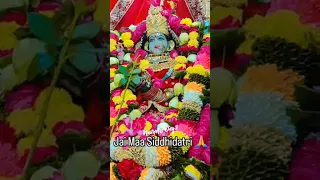 Maa Siddhidatri Inderpuri Darbar Agra Maiya Navratri Navratrispecial Siddhidatrimata Newagra 