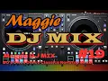 Maggie DJ MIX #19 80's Disco Dance Classics NonStop Mix(2)