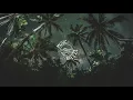 Daniel Steinberg - The Celebration (Original Mix)