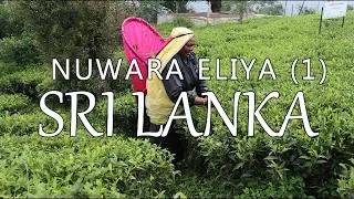 Nuwara Eliya – Part 1, Sri Lanka (Leave to Roam Sri Lanka Ep 10)
