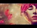 9 Hours of Relaxing Music - Beautiful Piano Music, Sleep Music, Soothing Relaxation