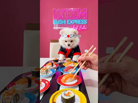 Lulu fez sushi na esteira pra mim 🍣😱