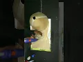 DIY Volcano Model Volcano Eruption