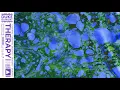 Duke Dumont - Therapy (Acoustic / Visualiser)