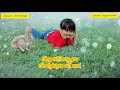 Download Lagu Budi Doremi - MELUKIS SENJA Lyric [English Version] Cover Emma Heesters